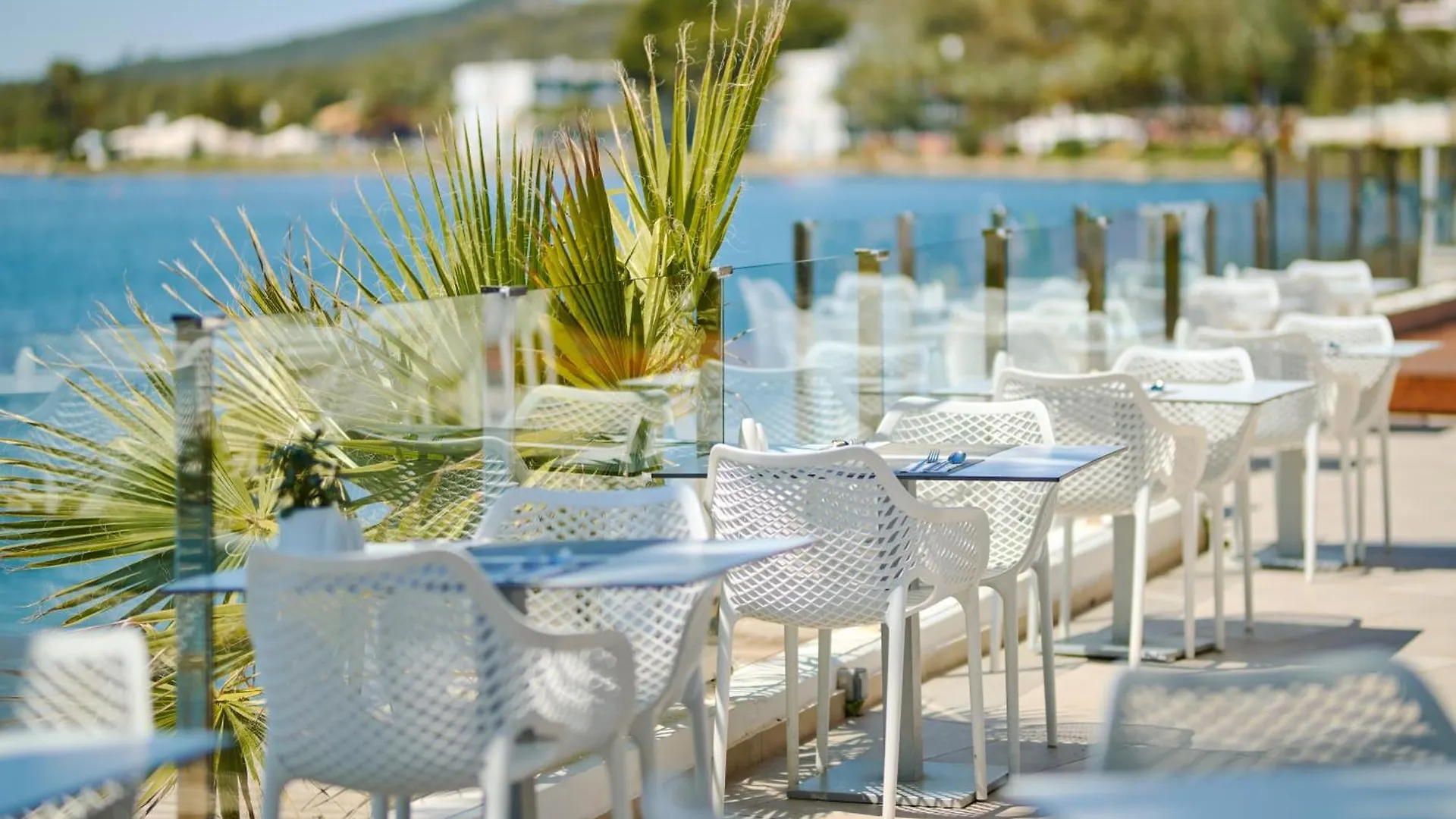 ****  Alua Boccaccio Hotel Port de Alcudia  Spanien