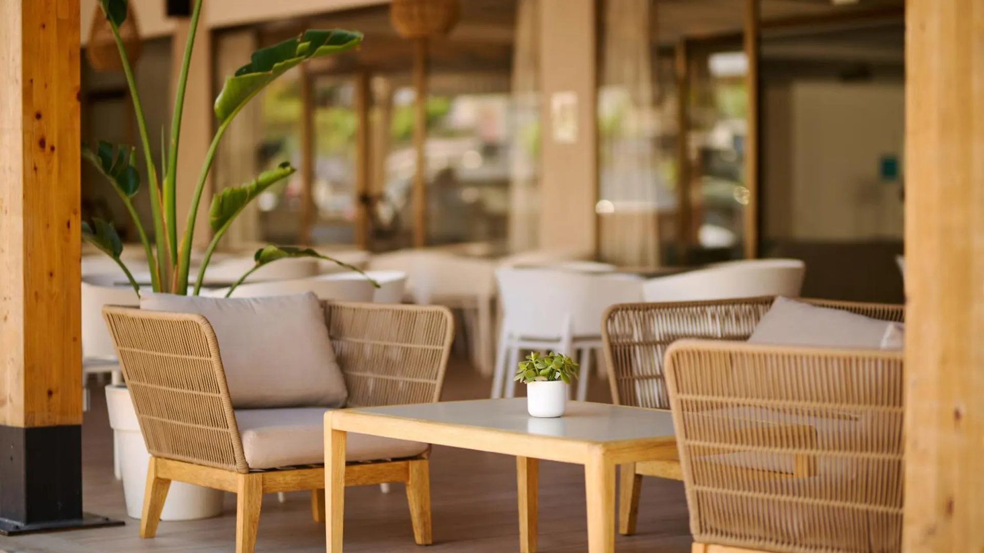 Alua Boccaccio Hotel Port de Alcudia  Port de Alcudia (Mallorca)