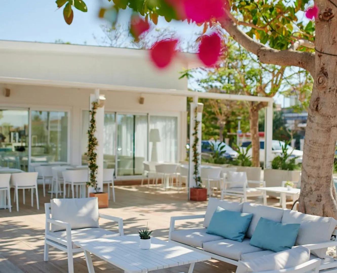 Alua Boccaccio Hotel Port de Alcudia