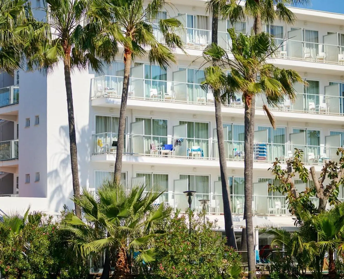 Alua Boccaccio Hotel Port de Alcudia