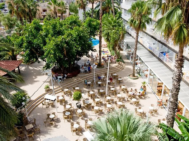 Alua Boccaccio Hotel Port de Alcudia  Port de Alcudia (Mallorca)
