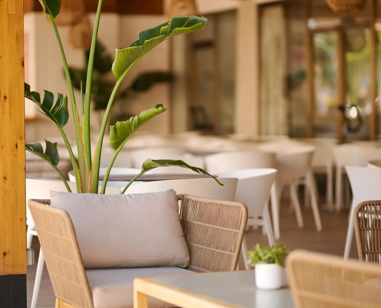 Alua Boccaccio Hotel Port de Alcudia