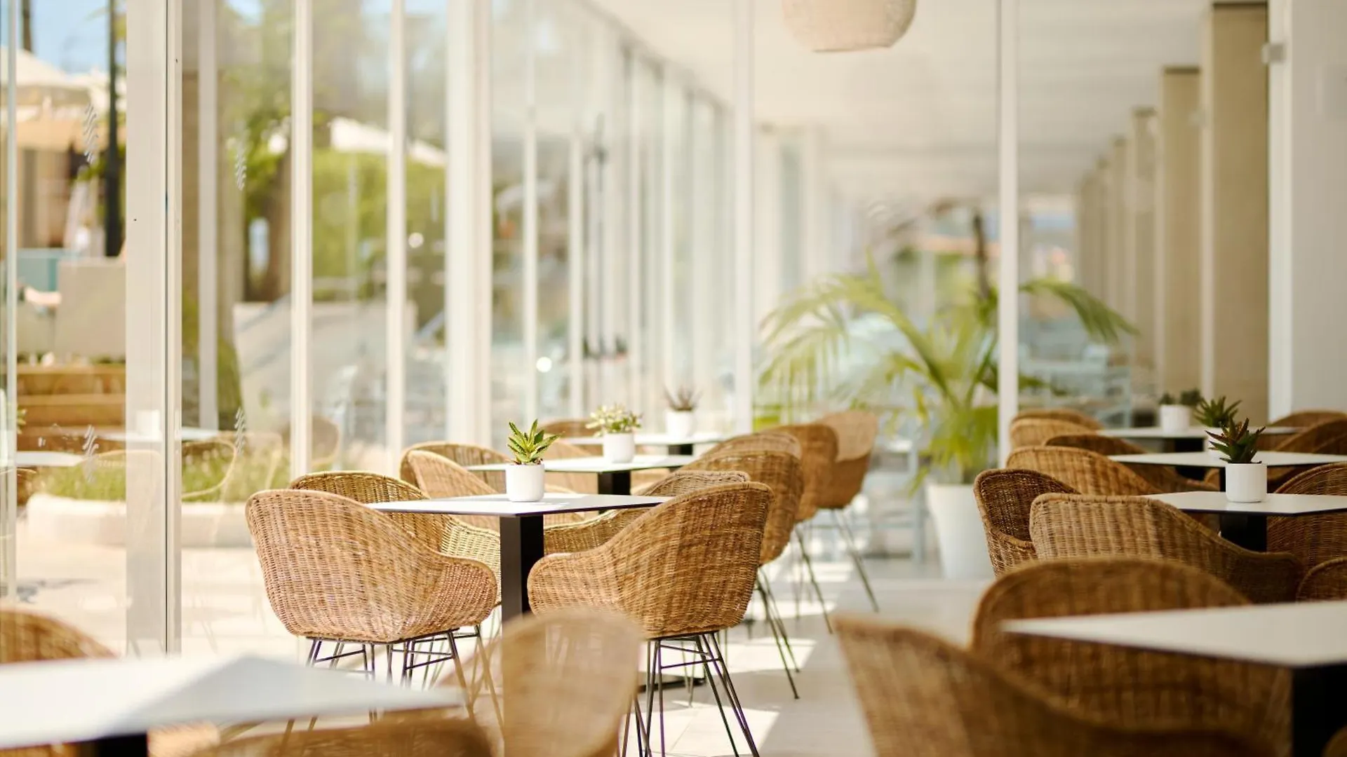 ****  Alua Boccaccio Hotel Port de Alcudia  Espanha